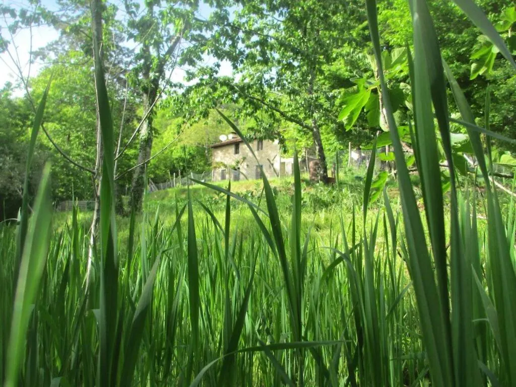 Casa Paladini Villa Castiglione di Garfagnana